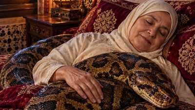 لمحة نيوز